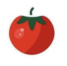 Hybrid Tomato Seeds