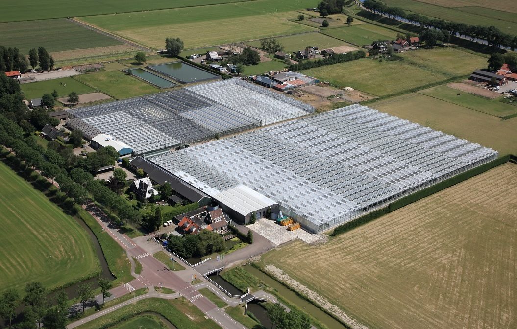 Aerial view of Bakker Seed Productions greenhouse complex in Zuidoostbeemster